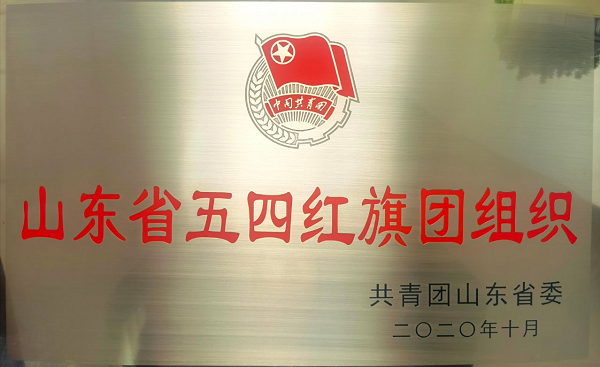 恒源熱力集團團委獲得 “山東省五四紅旗團組織”榮譽稱號
